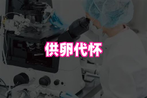 乐乐助孕网 2