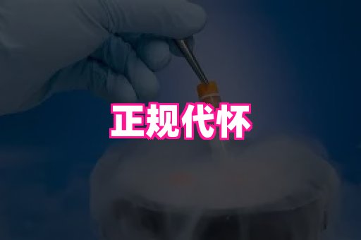 乐乐助孕网 3