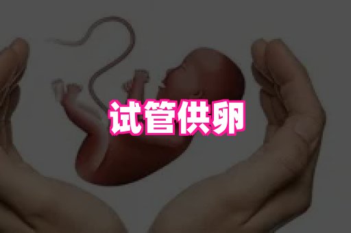 乐乐助孕网 4